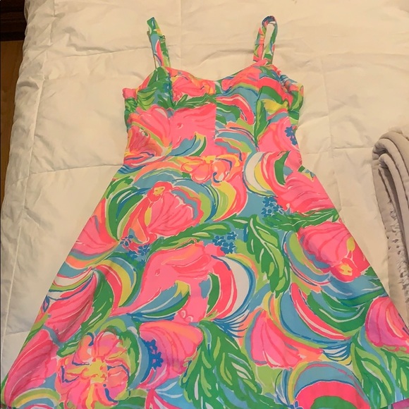 Lilly Pulitzer Dress - Picture 1 of 1